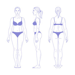  Woman full length figure silhouette in realistic linear style. Female body in underwear. Front, back and side views. Vector illustration isolated on white background