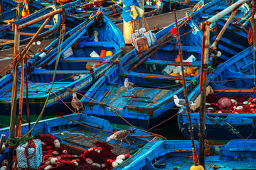 Fototapeta na wymiar The famous blue boats in the port of Essaouira.