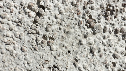  Concrete Fence. Textured background for your design.