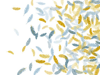 Obraz premium Flying feather elements airy vector design.