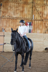 People on a horse training in a wooden arena