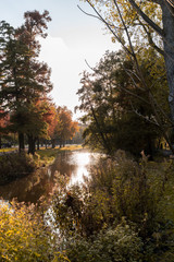 Vondelpark Amsterdam in the Autumn. public urban park