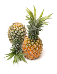 Pineapple on white background