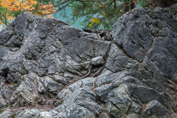 Landscape with a  large stone in Dolomites (Italy)