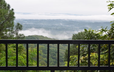 landscape, fence, sky, nature, trees, rural, forest, clouds view