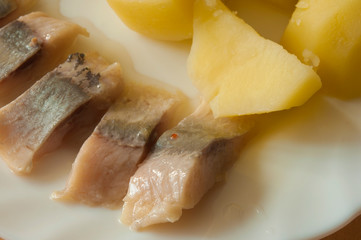 Salted herring and boiled potatoes on white plate