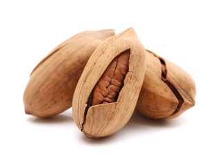 Pecan nuts on white background