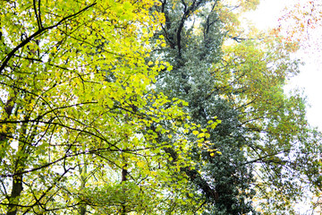 Natur erleben im Wald