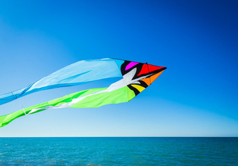 Kites in the clear blue sky in a free flight.