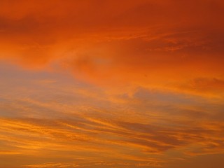 Naklejka na ściany i meble An orange evening sky with clouds