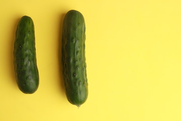 cucumber grown in Spain on colored background