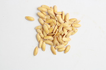 melon seeds on colorful background