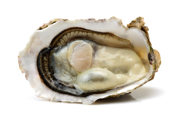 Fresh opened oyster on white background