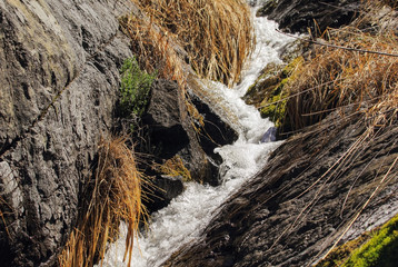 Fast mountain stream in the cascades