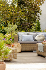 View of backyard