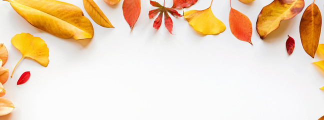 Web banner with yellow and red leaves on white background. Seasonal composition, fall, thanksgiving...