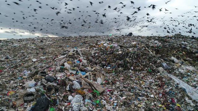 Dramatic view of large landfill. Flocks of birds circling over the garbage dump. A huge garbage mountain of unsorted waste. Aerial view.