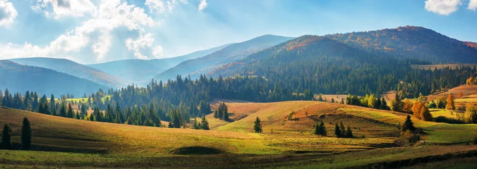 Tuinposter landelijk gebied van de Karpaten in de herfst. prachtig panorama van de borzhava-bergen in gevlekt licht waargenomen vanuit het dorp podobovets. agrarische velden op glooiende heuvels nabij het sparrenbos © Pellinni