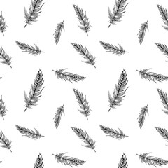 Feathers pattern. Hand-drawn sketch style bird feathers on white background. Seamless vector backdrop. Black and white.
