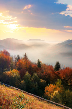 wonderful autumn sunrise in mountains. misty atmosphere with clouds on the sky. trees on the hillside in fall foliage. weathered grass on the slopes. fog rising from the distant valley