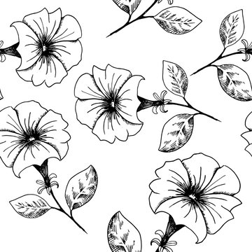Flower background. Hand-drawn black and white sketch style petunia flowers on a white backdrop. Seamless vector pattern.