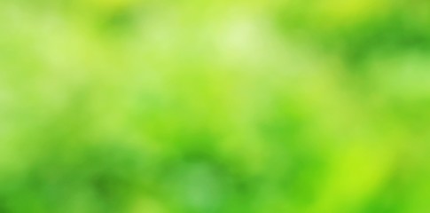 Fototapeta premium abstract background with bokeh