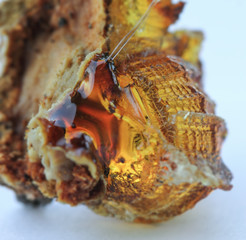 Raw natural Resin