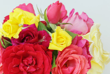 A bouquet of multicolored roses