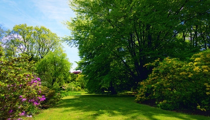 Idyllic nature landscape with vivid springtime colors- green trees and lawn in a public park on a sunny day.