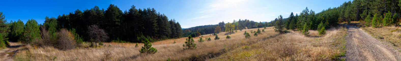 summer agricultural landscape. panoramic view of a hilly field under a blue cloudy sky.