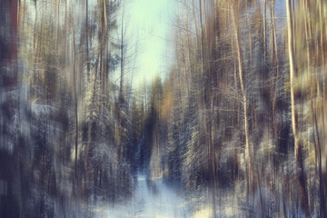 forest snow blurred background / winter landscape snow-covered forest, trees and branches in winter weather