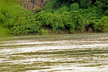 landscape image with mountains, trees and a river in front. beautiful scenery