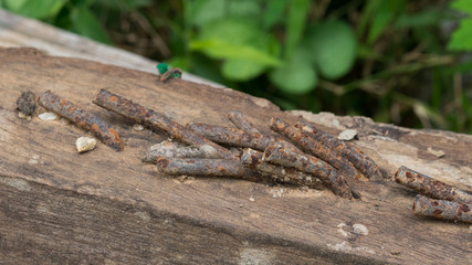 Old wooden with rusted nail attached to the wood surface.