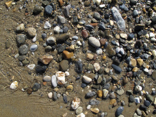 Wet different sea pebbles on the beach