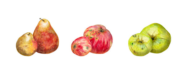 Set of fruits pairs. Realistic garden red, green apples and pears. Watercolor painting.
