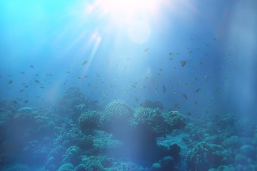 Fototapeta na wymiar sun rays scuba reef / blue sea, abstract background, sunny day, rays in water