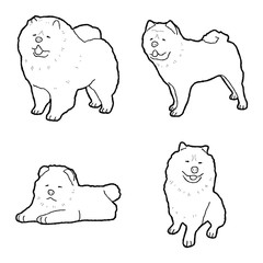 Chow Chow Animal Vector Illustration Hand Drawn Cartoon Art