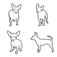 Chipin Animal Vector Illustration Hand Drawn Cartoon Art