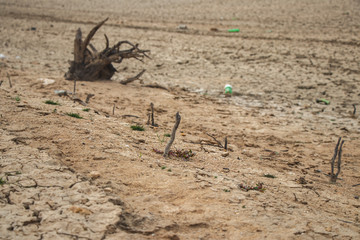 Desert caused by severe drought. Global warming.