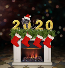 The pet rat in a Santa Claus costume is stading near the number 2020 made from cheese on the...