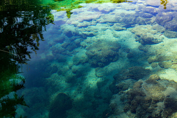 Plitvice Lakes National Park. Transparent, clear water. Bottom of the lake. Trees under water. Fish. Waterfall and lake in the forest. The bottom topography and the surface of the lake. Lazur color. 