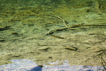 Plitvice Lakes National Park. Transparent, clear water. Bottom of the lake. Trees under water. Fish. Waterfall and lake in the forest. The bottom topography and the surface of the lake. Lazur color. 