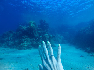 Fototapeta na wymiar Engagement underwater. Diamond ring.Diving in the red sea.Girl and coral reefs. Traveling lifestyle. Water sports. Beach holidays.