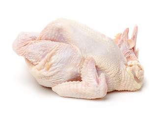 raw hen on a white background