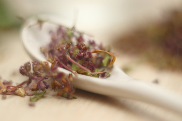 Dried stems and leaves of a medicinal plant as tea leaves. Natural ingredients for the tea ceremony. Do-it-yourself healthy drink.