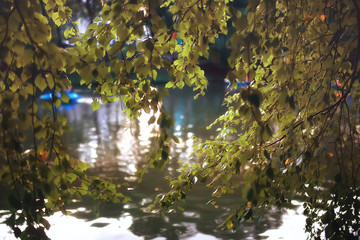 Obraz na płótnie Canvas landscape autumn pond / yellow trees in the park near the pond, landscape nature of October autumn