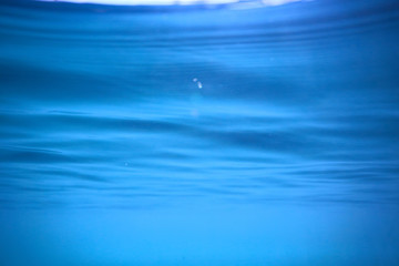 Obraz premium lake background water underwater abstract / fresh water diving background nature underwater ecosystem background