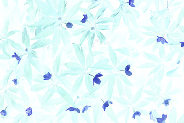 leaves blue vintage toning / abstract background nature forest grass