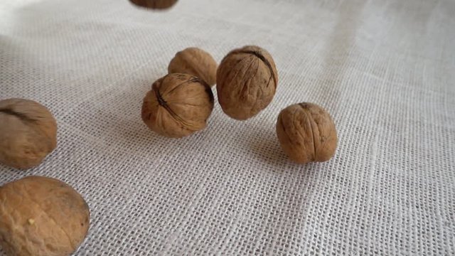 Walnuts. Juglans regia. Shooting while falling on a sack. Slow motion.