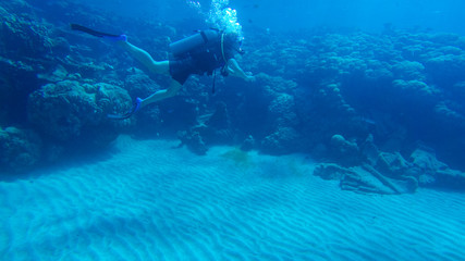 Diving with air balloon in the red sea. Instructor. Girl and coral reefs. Traveling lifestyle. Water sports. Beach holidays.